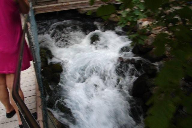 DSC00276