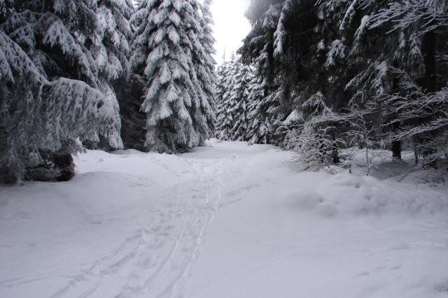 DSC00679