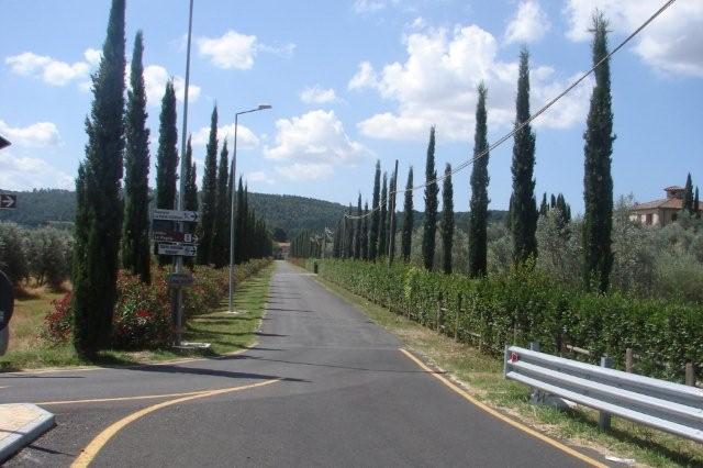DSC02088