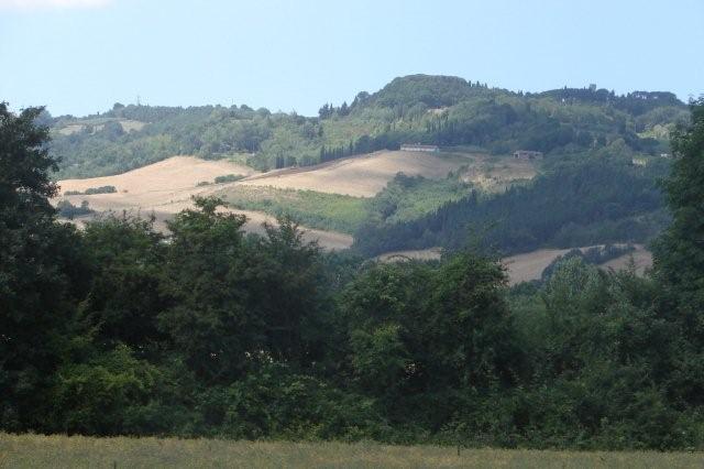 DSC02105