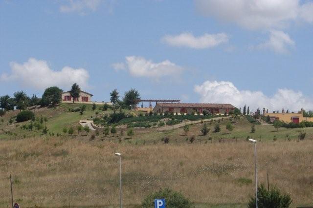 DSC02113