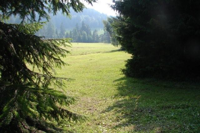 DSC02619
