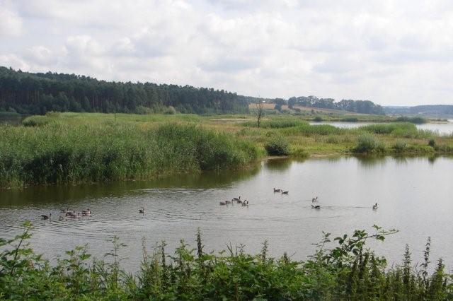 DSC02680