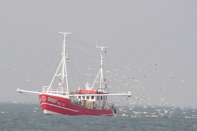 DSC06227 - Kopie