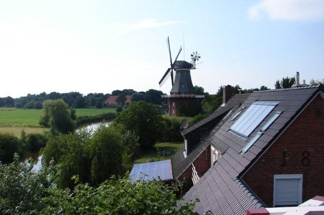 DSC06474