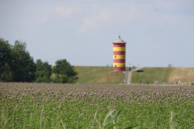 DSC06506