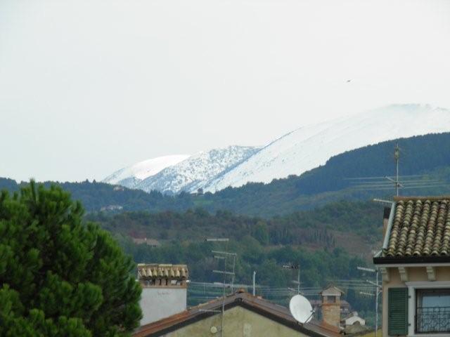 PA180393 PA180393