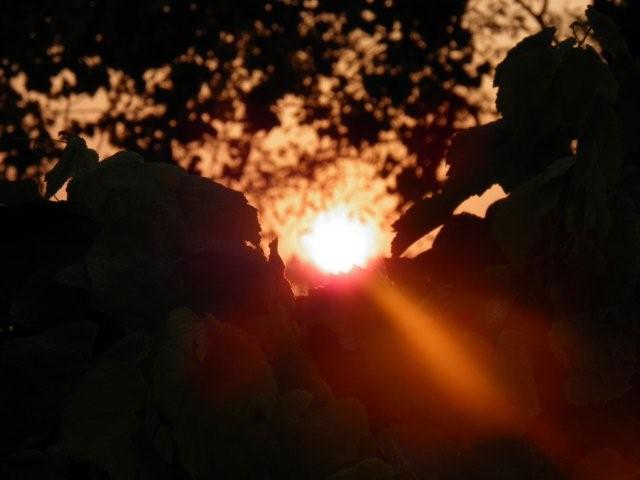 PA200581 PA200581