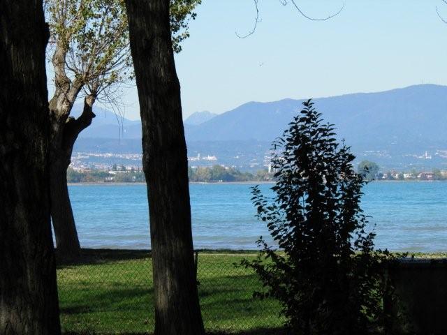 PA210766 PA210766