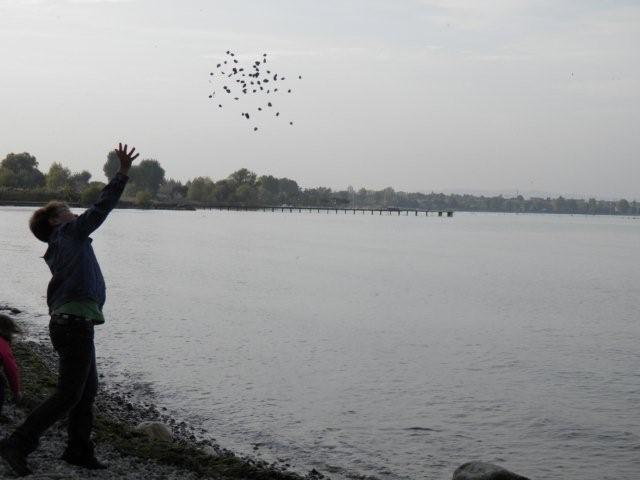 PA220991 PA220991